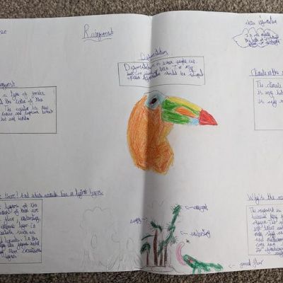 Some of our finished 'What we have learnt' posters/leaflets