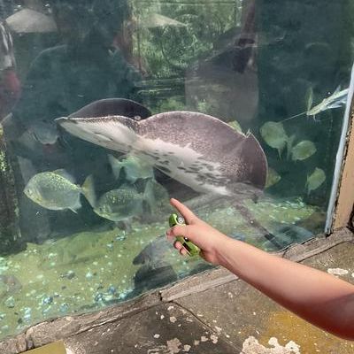 Tropical World and Roundhay Park Visit