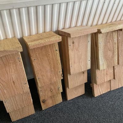 Bat workshop