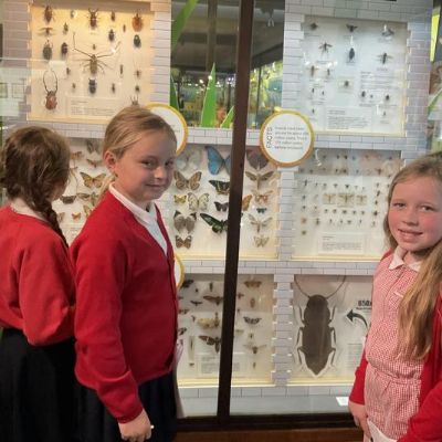 BOLTON MUSEUM