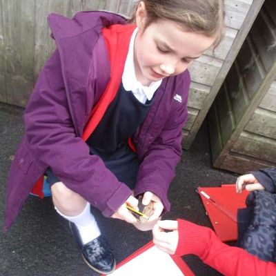 Archaeology treasure hunt