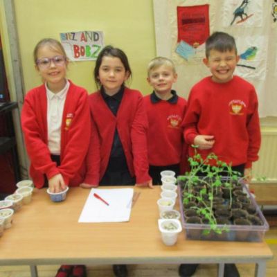 ENTERPRISE FAIR